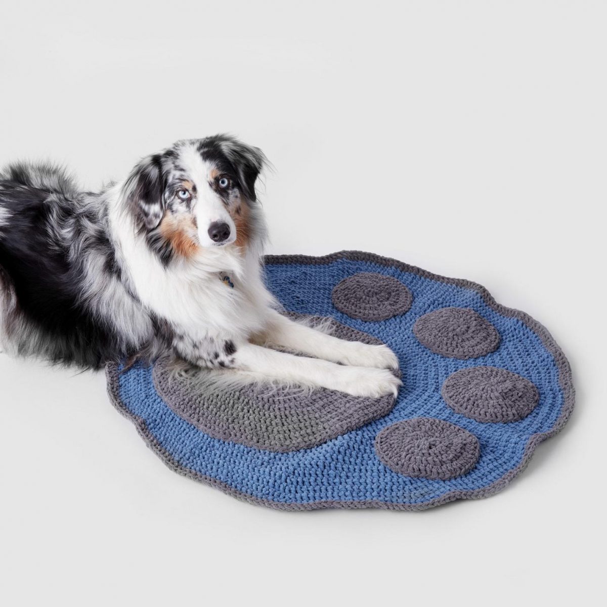 Make-It-Yourself Yarn Crafts for Your Pet Pooch