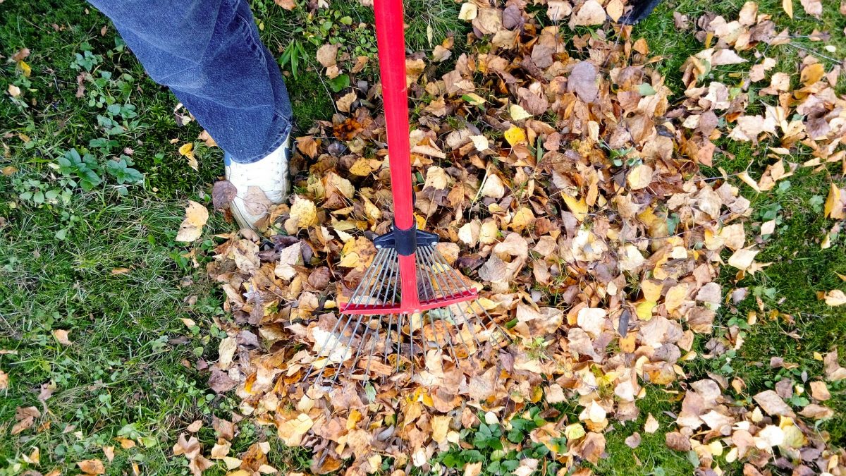 House and Garden Maintenance This Fall!