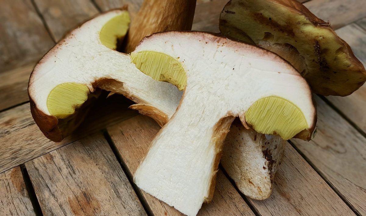 The Ultimate Guide to Italian food with Porcini Mushroom’s and It’s Recipe