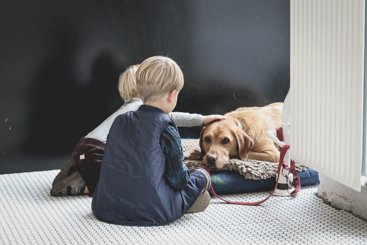 How to Teach Your Child to Take Care of a Dog