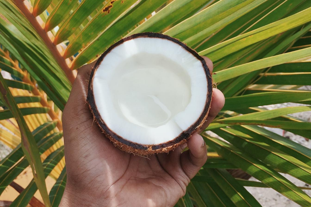 coconut