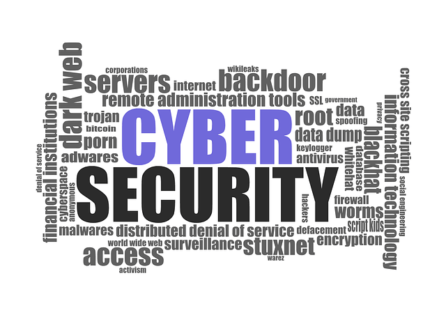 The Cyber Security Skills Your Business Needs