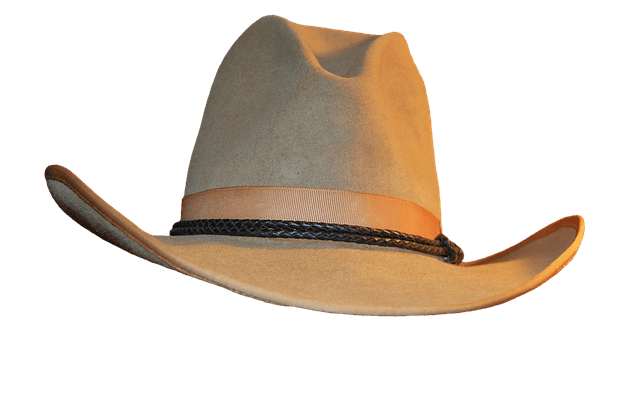 Cowboy hat